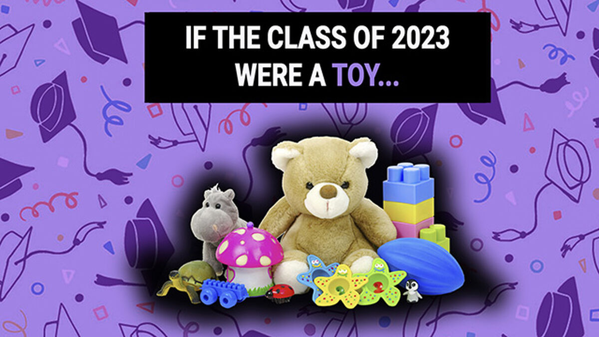 If the Class of 2023 Were A... image number null